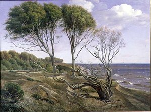 Eine Küstenlandschaft