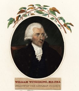 Porträt von William Withering, Arzt und Botaniker