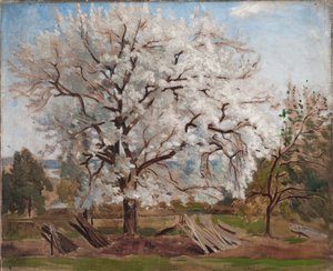 Apfelbaum in Blüte von Carl Fredrik Hill