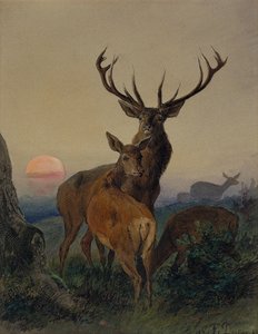 Ein Hirsch mit einem Reh in einer bewaldeten Landschaft bei Sonnenuntergang von Carl Friedrich Deiker