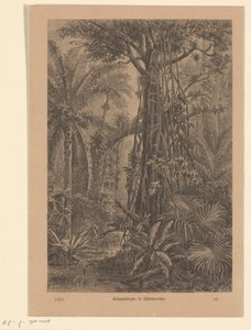 Waldansicht von Carl Gottlob Specht
