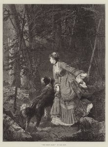 Die Waldlichtung