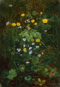 Butterblumen und Vergissmeinnicht auf einem Waldboden von Carl Henrik Koch Moller