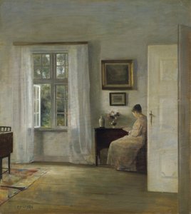 Der Leser von Carl Holsoe