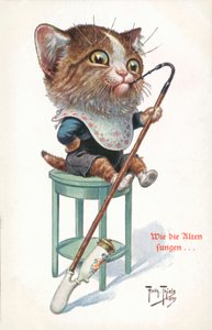 Humorvolle Katzenpostkarte von Carl Robert Arthur Thiele