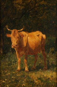 Semmelfarbene Kuh von Carl Rudolf Huber