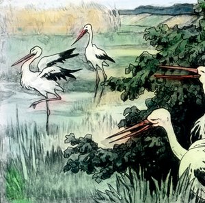 Wilhelm Hauff - Märchen - Kalif Storch, um 1910 von Carl Simon