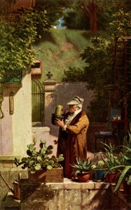 Kaktus von Carl Spitzweg