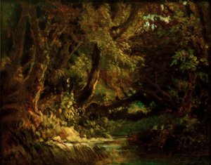 Waldinneres