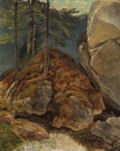 Ölstudie mit moosbewachsenem Felsen von Carl Spitzweg