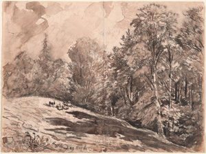 Eine Wiese mit einem Hirten und Ziegen am Waldrand