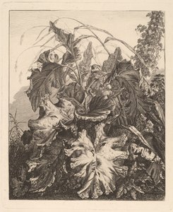 Laub mit Schilf von Carl Wilhelm Kolbe