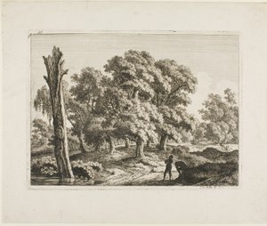 Landschaft