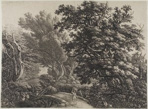 Rustikale Brücke in einem verworrenen Wald von Carl Wilhelm Kolbe, the elder