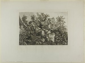 Sumpfpflanzen von Carl Wilhelm Kolbe, the elder