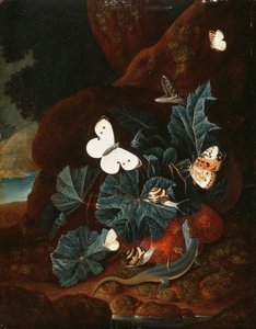 Stillleben auf Waldboden mit Eidechse, Schmetterlingen, Schnecke und Schlange von Carl Wilhelm de Hamilton