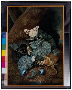 Waldboden-Stillleben mit Schnecken, Schlangen, Eidechsen und Schmetterlingen von Carl Wilhelm de Hamilton