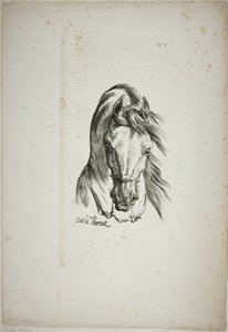 (Detail) Pferdekopf, vergrößert auf dreifache Größe, Normannische Königsgarde, Nr. 1 von Carle Vernet