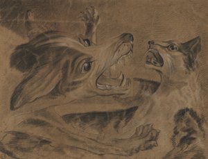 Kämpfende Tiere