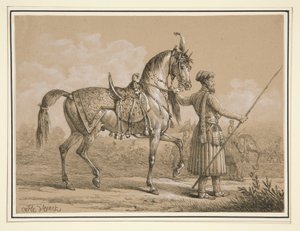 Mameluck und Arabisches Pferd