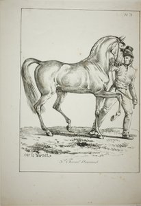 Königliche Garde, normannischer Kavalier, nicht in voller Montur, und Pferd, Nr. 3 von Carle Vernet