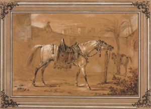 Gesatteltes arabisches Pferd im Hof