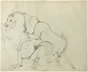 Zwei Pferde tollen herum (recto); Mann auf einem ausschlagenden Pferd (verso) von Carle Vernet