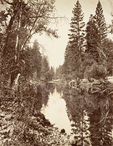 Merced River, Yosemite von Carleton E. Watkins.