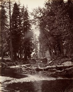 Hutchings Hotel, Yosemite von Carleton Emmons Watkins