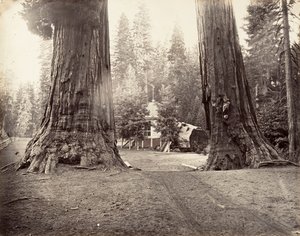 Die Wachen, 315 Fuß, Yosemite von Carleton Emmons Watkins