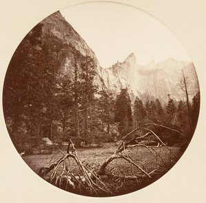 [Yosemite-Nationalpark, Kalifornien], ca. 1878 von Carleton Emmons Watkins