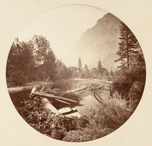 Yosemite-Nationalpark, Kalifornien von Carleton Emmons Watkins