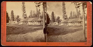 Big Tree Station, Mariposa Grove von Carleton Watkins