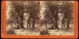Hütte im Camp Grove, Yosemite Valley, Mariposa County, Kalifornien von Carleton Watkins