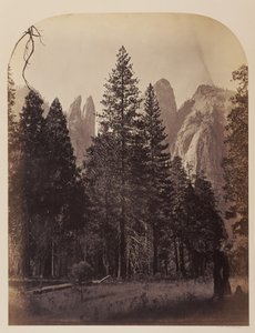  von Carleton Watkins