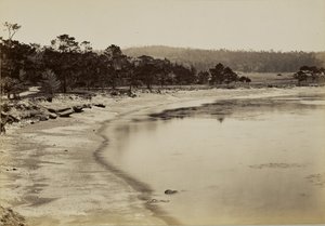 Küstenansicht in der Nähe von Monterey von Carleton Watkins