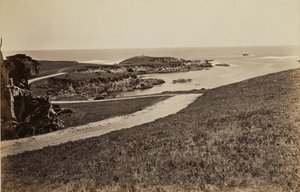 Küstenansicht in der Nähe von Monterey von Carleton Watkins