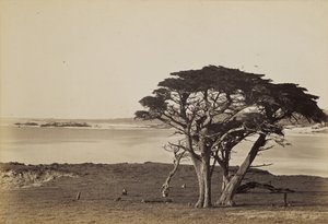  von Carleton Watkins