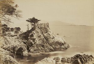  von Carleton Watkins