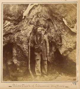  von Carleton Watkins