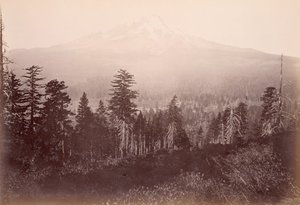  von Carleton Watkins