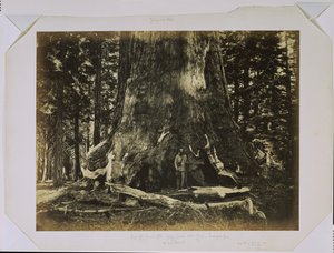  von Carleton Watkins