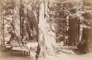  von Carleton Watkins