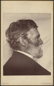 Porträt von George Davidson von Carleton Watkins