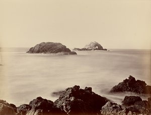 [Seal Rocks vom Punkt] von Carleton Watkins