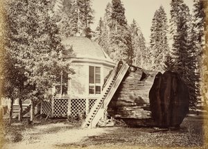  von Carleton Watkins