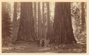  von Carleton Watkins