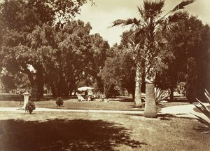 Thurlow Lodge - Zelt und Familiengruppe von Carleton Watkins