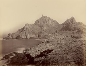 [Blick von den Sugar Loaf Islands, Farallons] von Carleton Watkins