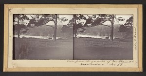 Blick vom Grundstück von Herrn Freundt, Mendocino von Carleton Watkins